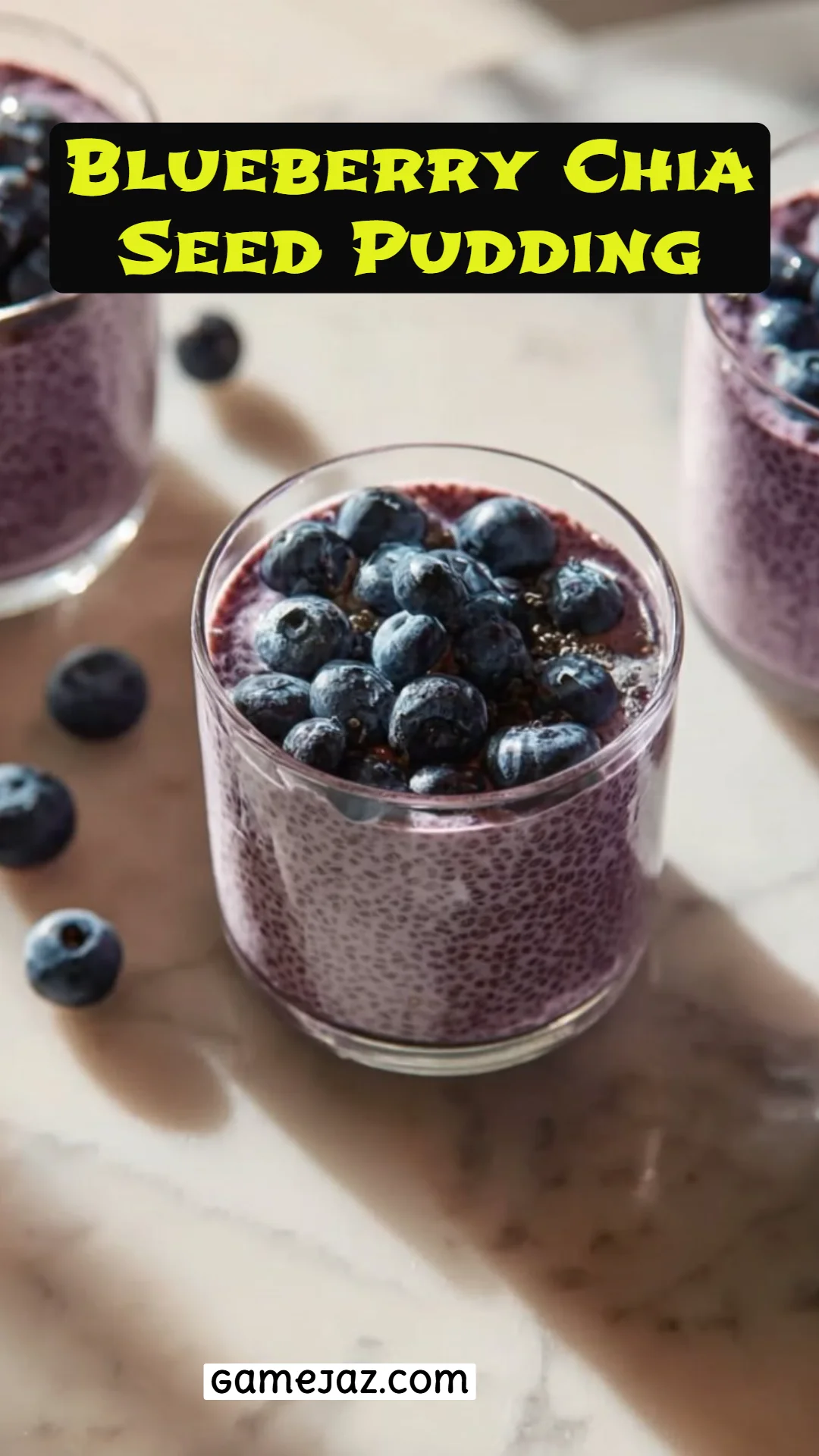 Blueberry Chia Seed Pudding